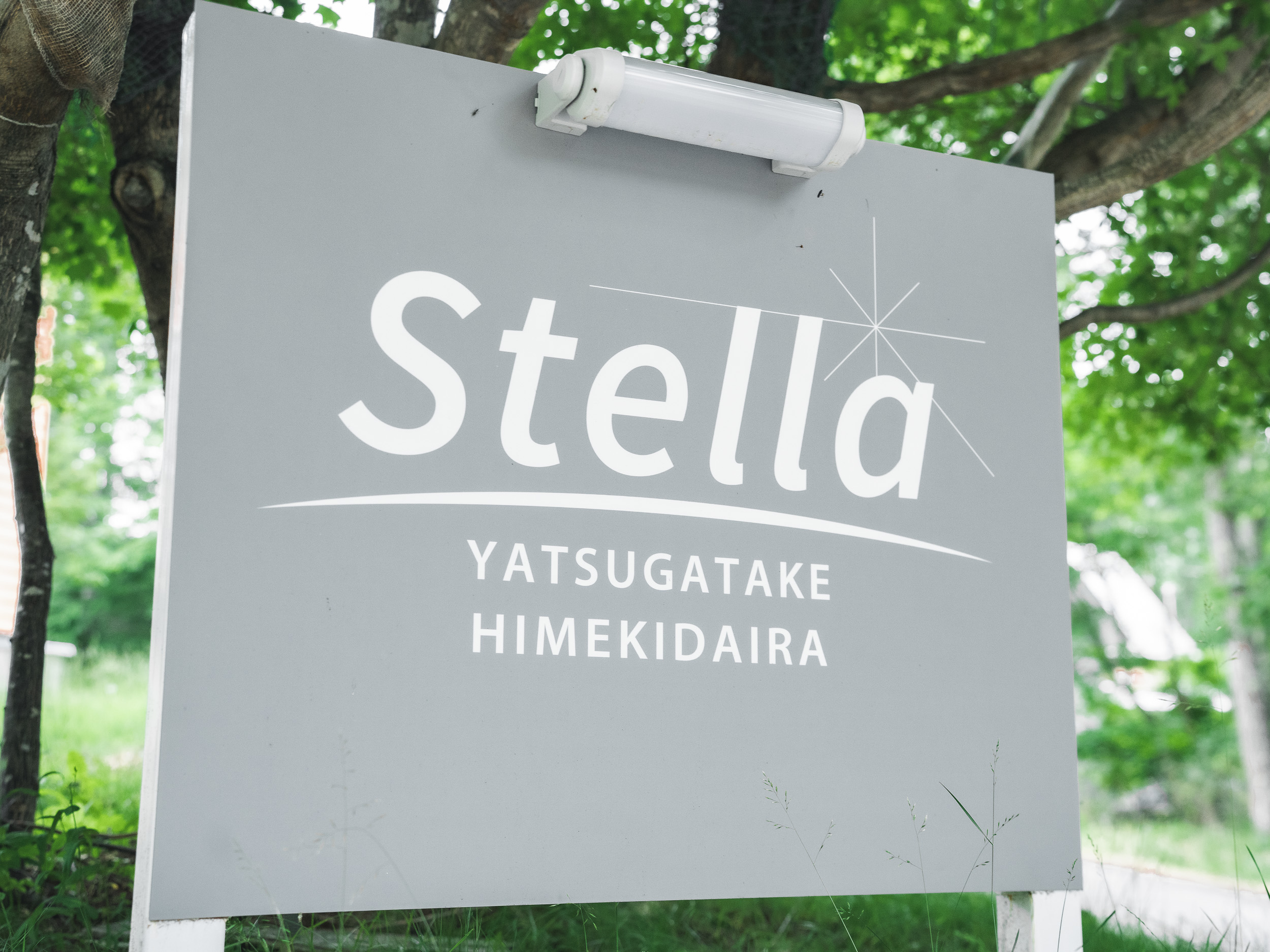 Stella 八ヶ岳姫木平 67